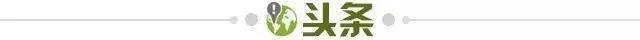 【早报】再等四年！国奥U23脆败韩国无缘巴黎奥运！